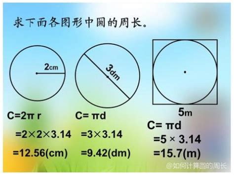 什麼東西是圓的|圆